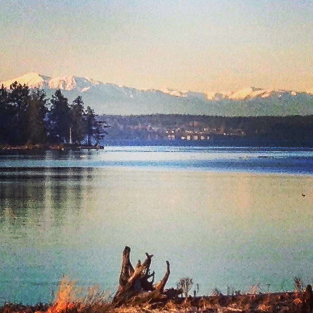 Olympic Mountains viewed across Puget Sound
