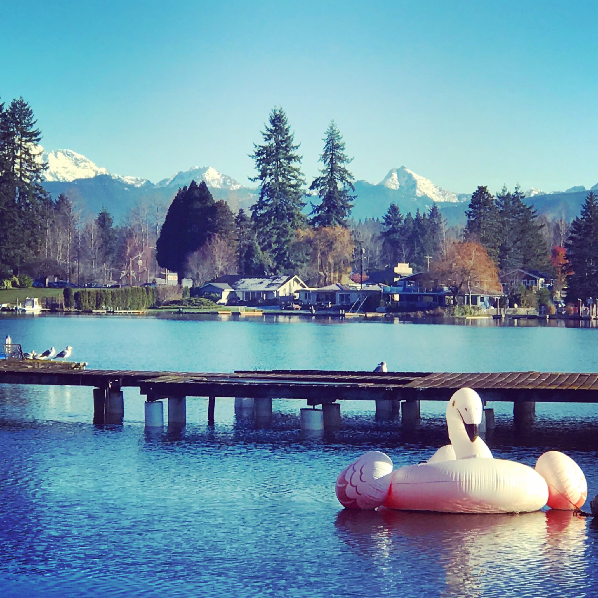 Waterfront community in Washington with mountains beyond